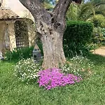 Lei Bugadiero La Croix-Valmer