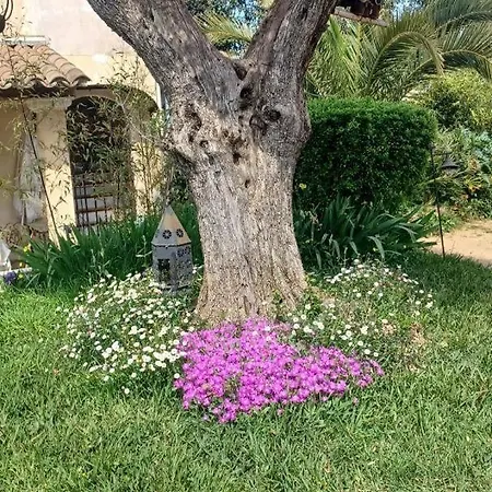Lei Bugadiero La Croix-Valmer